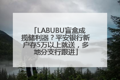 LABUBU盲盒成揽储利器？平安银行新户存5万以上就送，多地分支行跟进